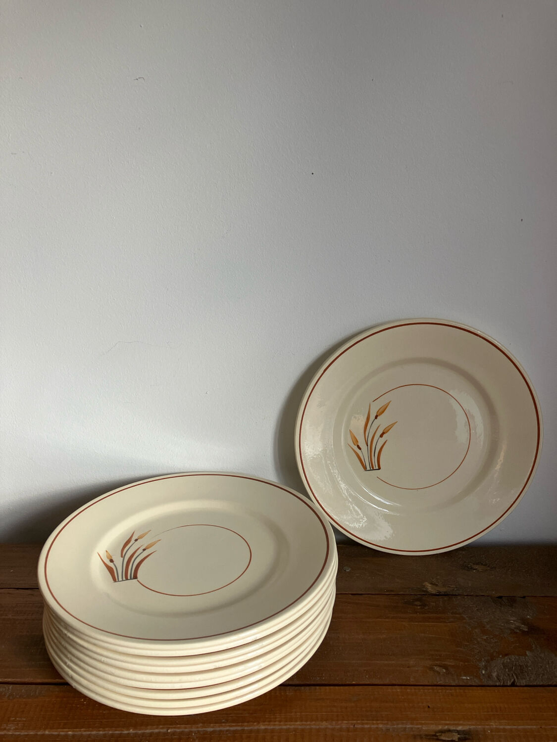 10 assiettes à dessert 