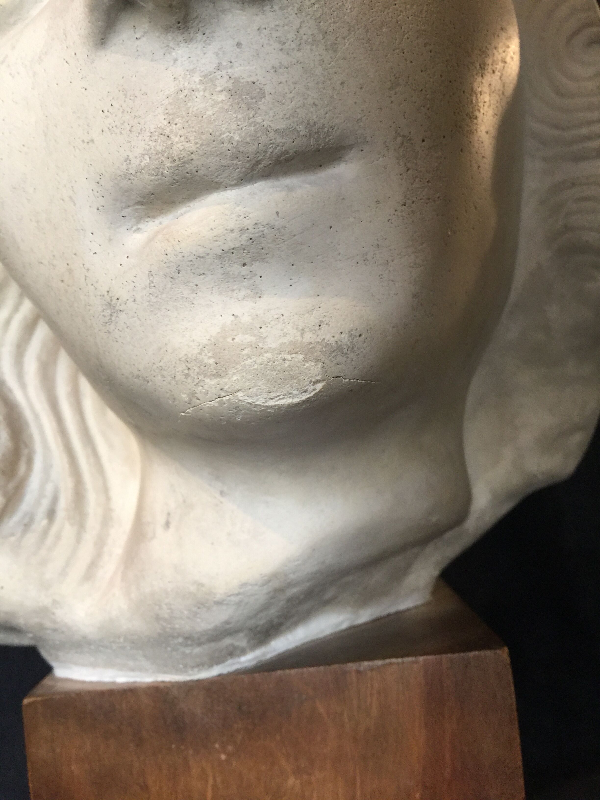 Bronze-middle-aged woman's head in plaster