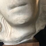 Bronze-middle-aged woman's head in plaster