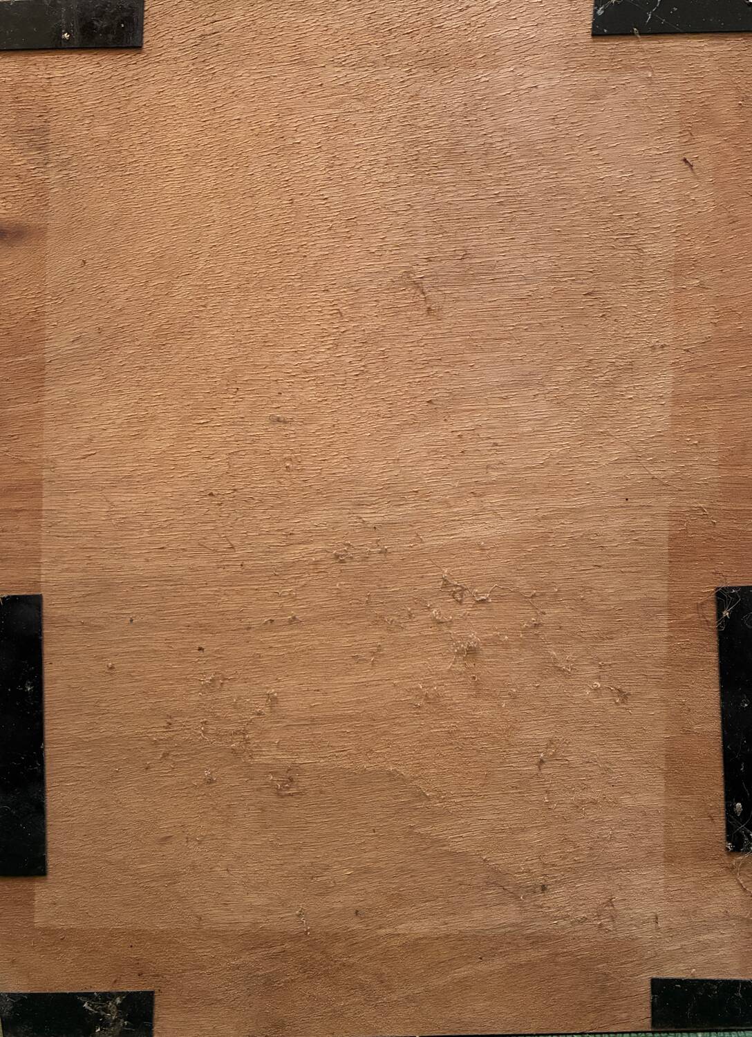 Still Life with Irises, 1931