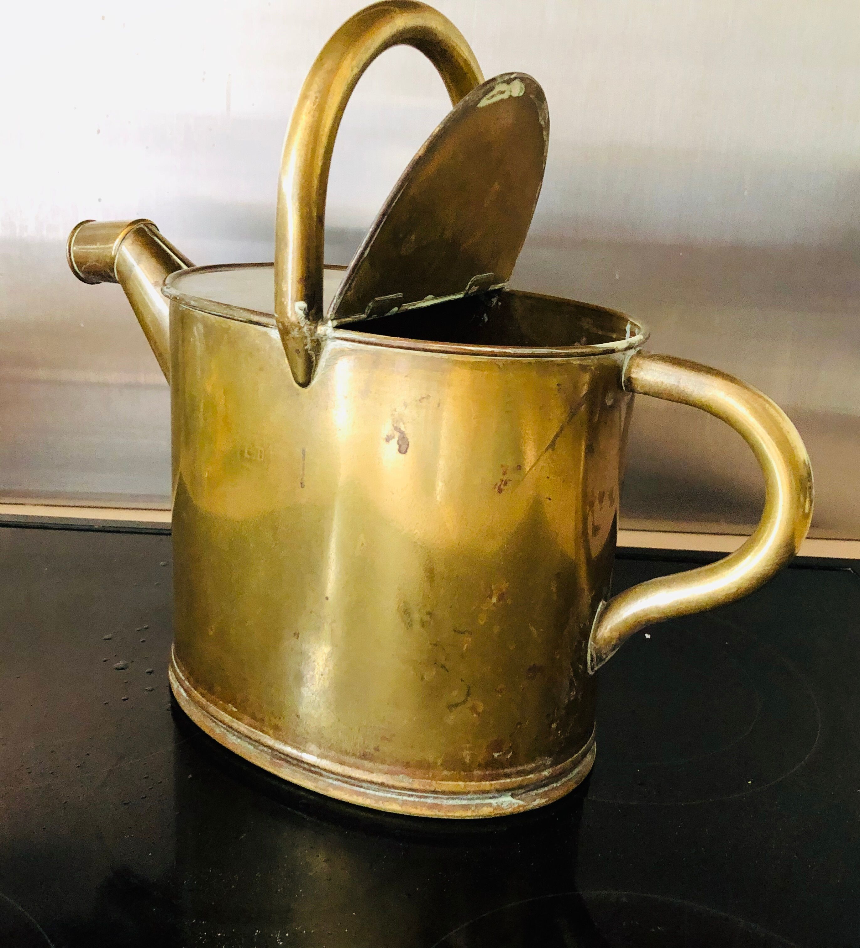 Copper watering can