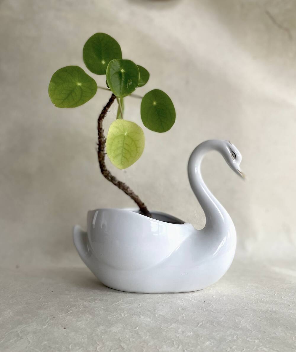 Vintage swan shaped planter