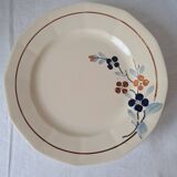 Set of 11 plates model 5041 Digoin Sarreguemines. Vintage ironstone