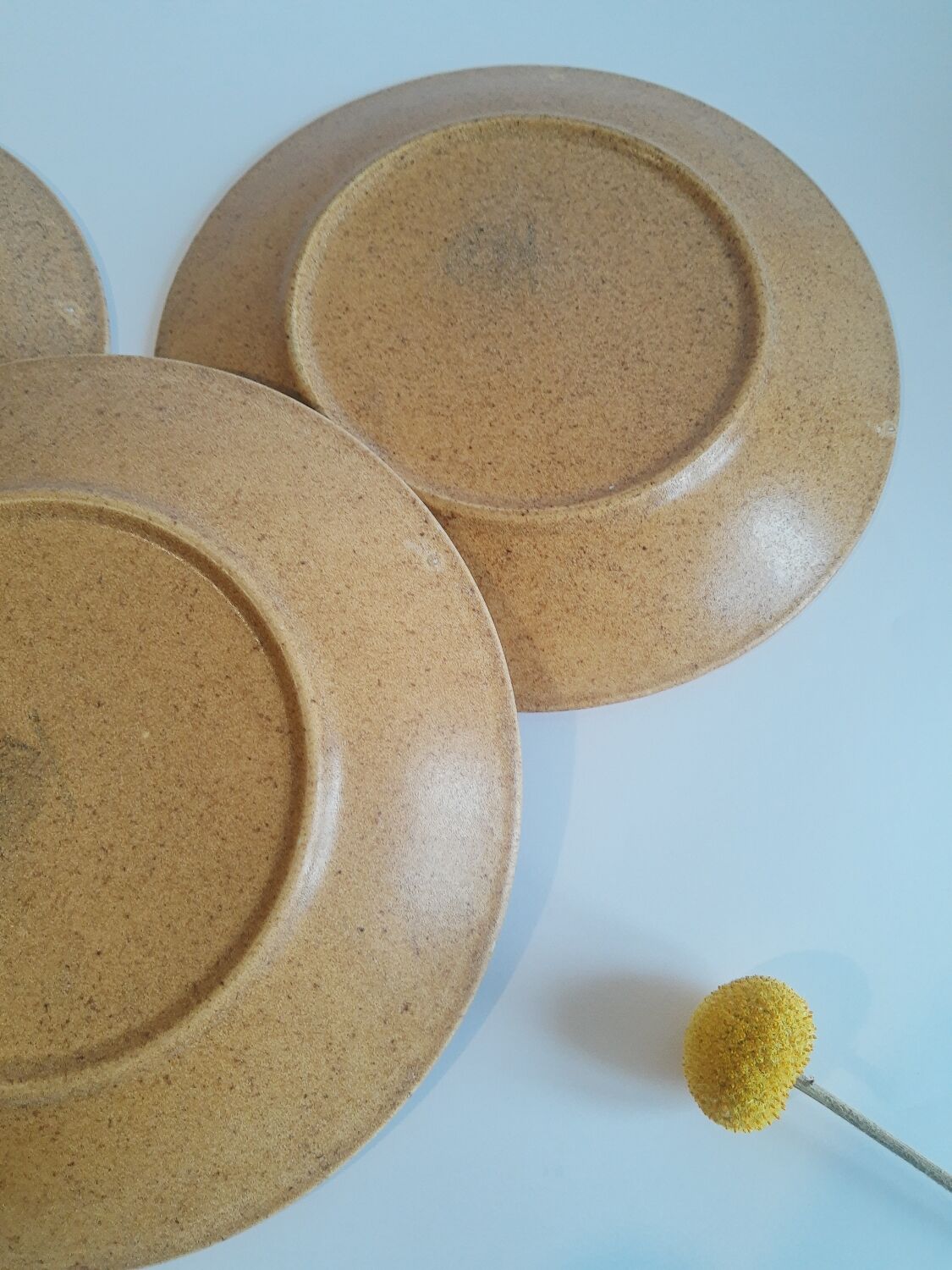 Trio of vintage Chantilly France stoneware dinner plates