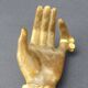 Palladio, Italie, main en bois sculpté