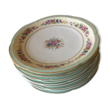 9 flat plates porcelain Limoges Ahrenfeldt