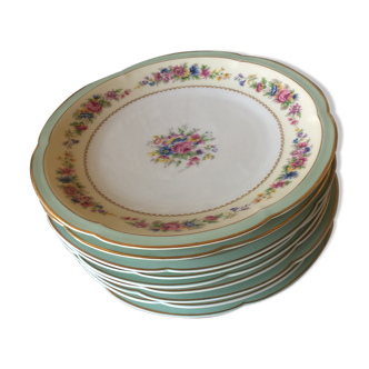 9 flat plates porcelain Limoges Ahrenfeldt