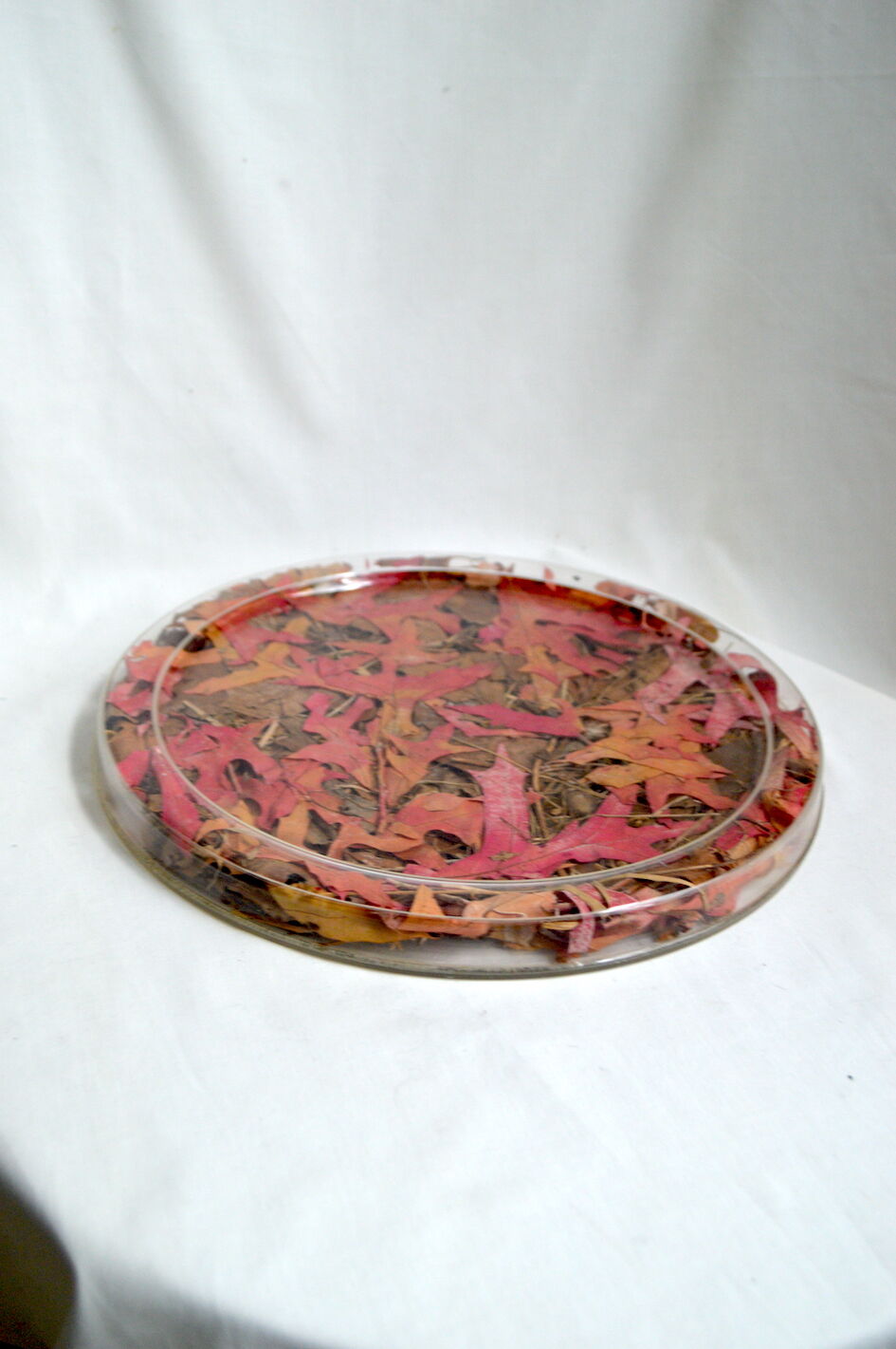 Plateau Christian Dior