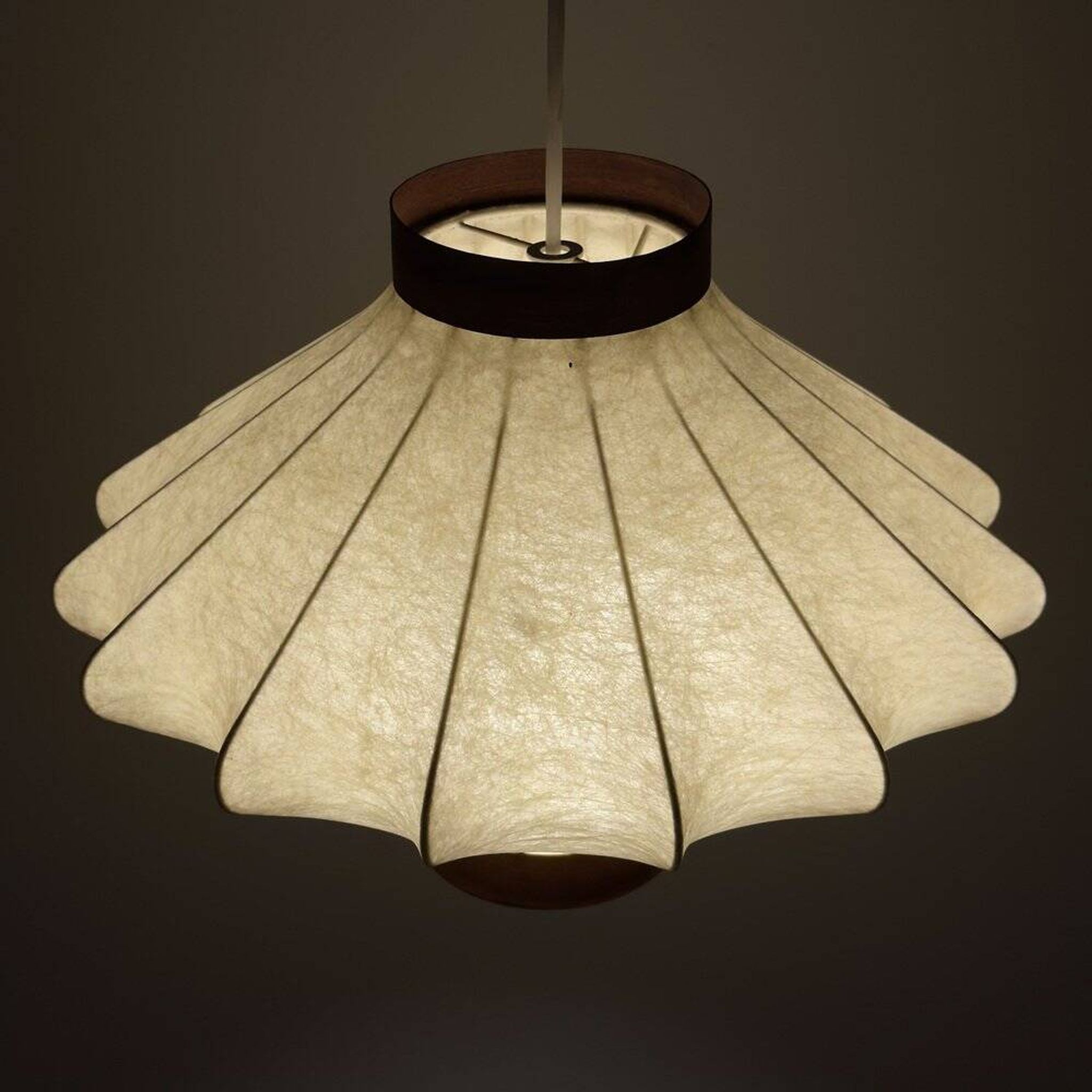 Mid-Century Modern Suspension Cocoon by Achille Castiglioni, 1960s