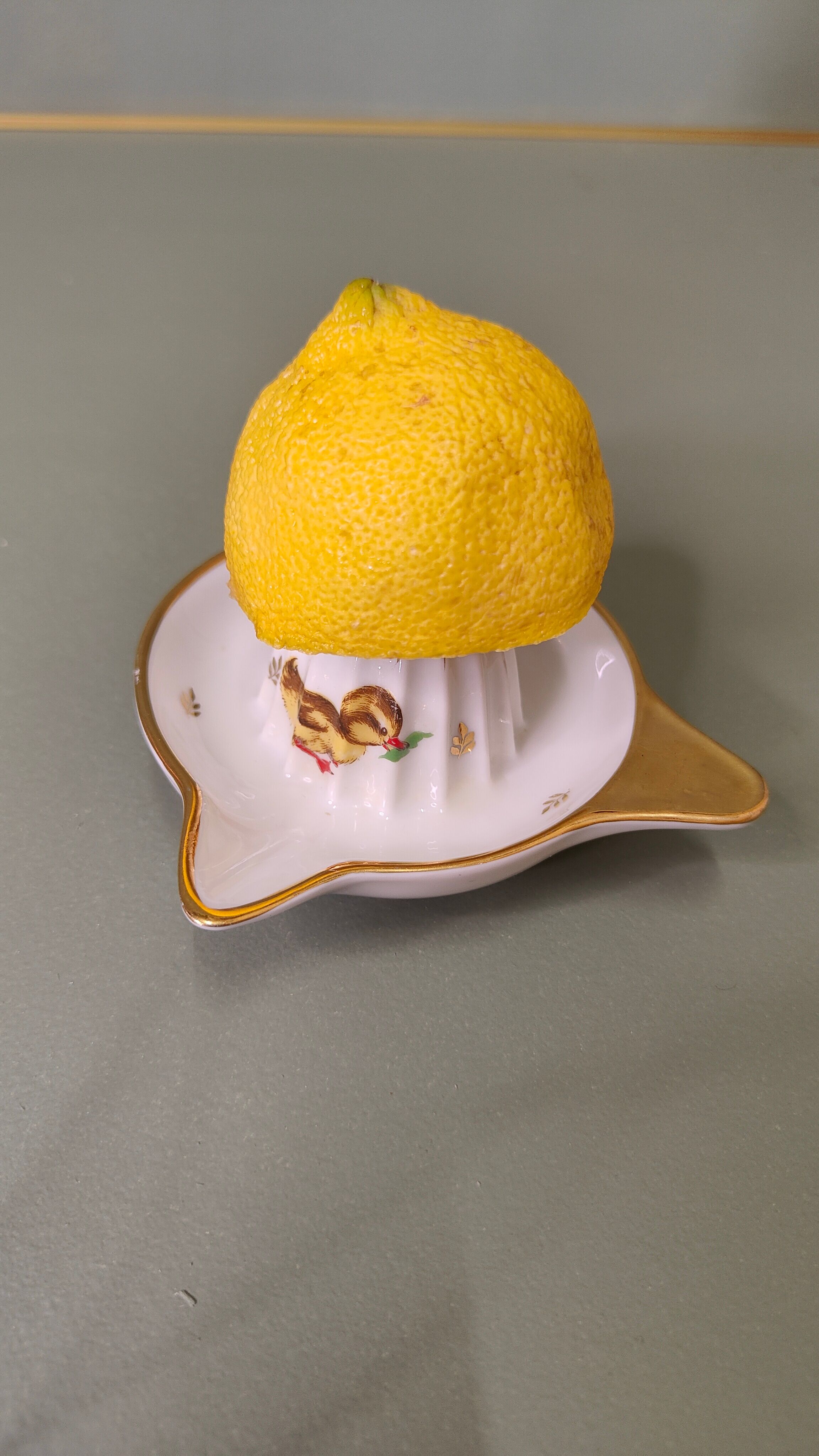 Lemon squeezer for baby