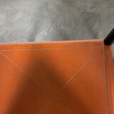 Pair of armchairs 905, Vico Magistretti for Cassina