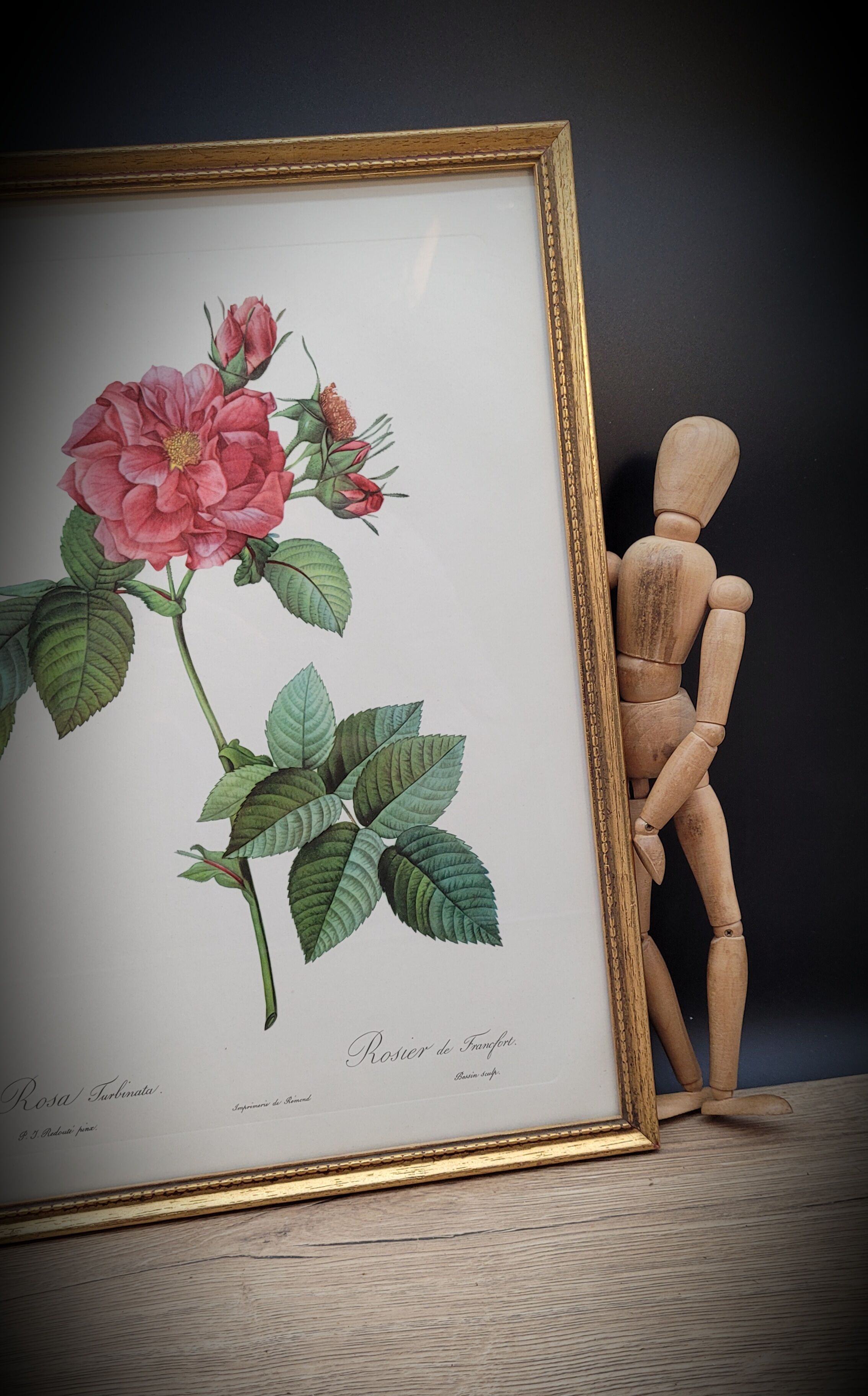 Lithograph Rosier Frankfurt