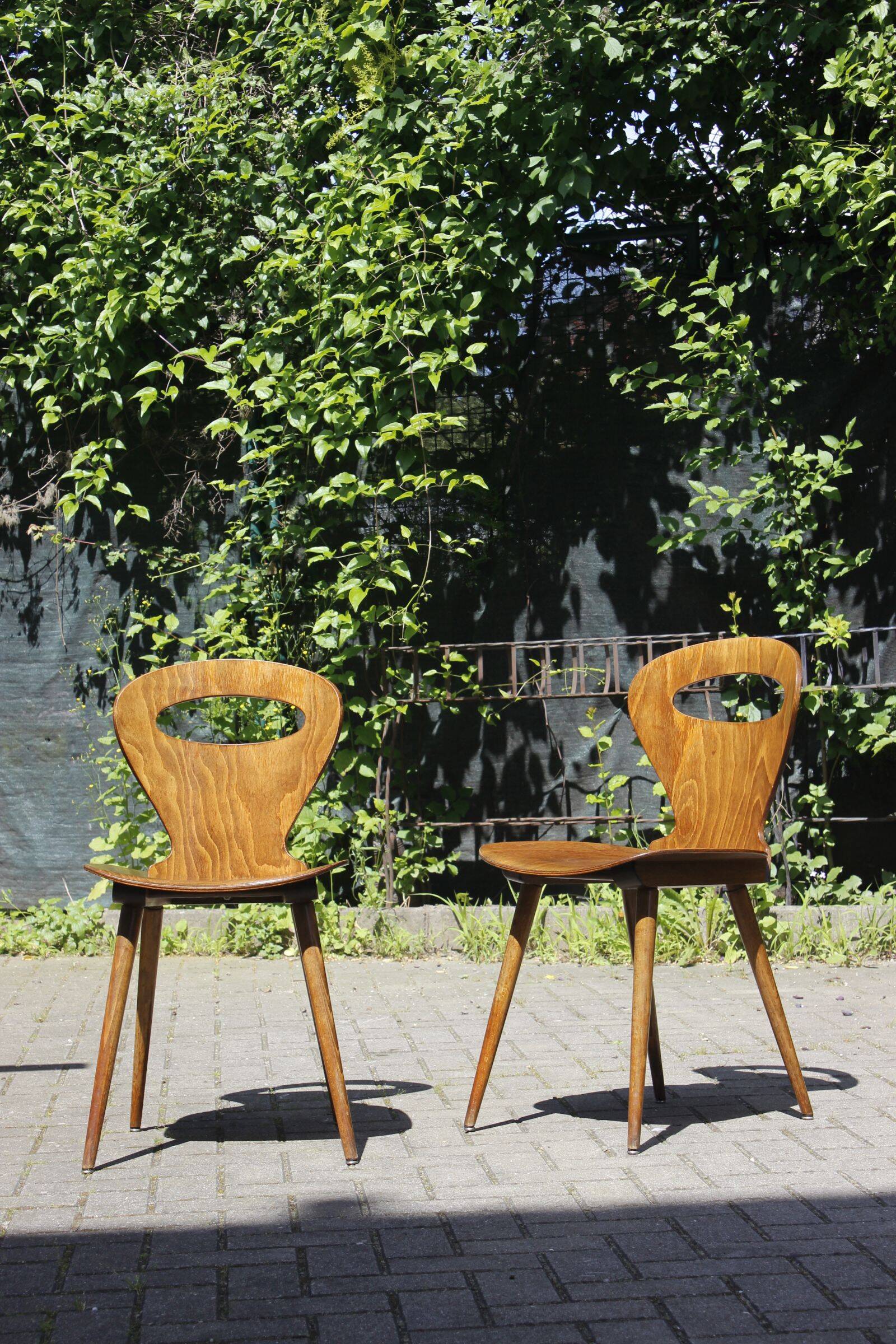 Pair of "Fourmi" bistro chairs Baumann France 1960s
