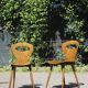 Pair of "Fourmi" bistro chairs Baumann France 1960s