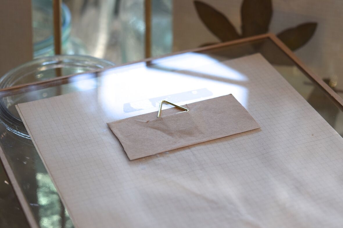 George Bert Herbarium