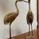 Herons laiton