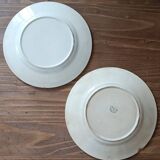 2 plates in fine earthenware from Pexonne with Apple Pear decor