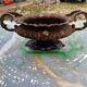 1 Cast Iron Planter 1900 from Charleville - Mézières