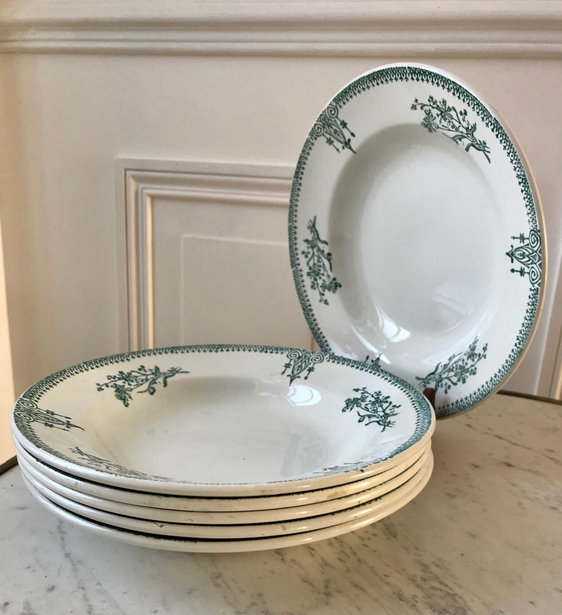 Lot of 6 hollow plates Terre de Fer Saint-Amand late nineteenth