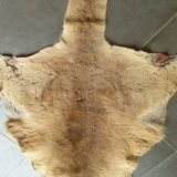 Kangaroo skin