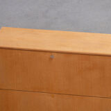 Scandinavian buffet secretary 1960