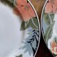 Set of 5 floral plates in vibrant colours, 1980s, vintage