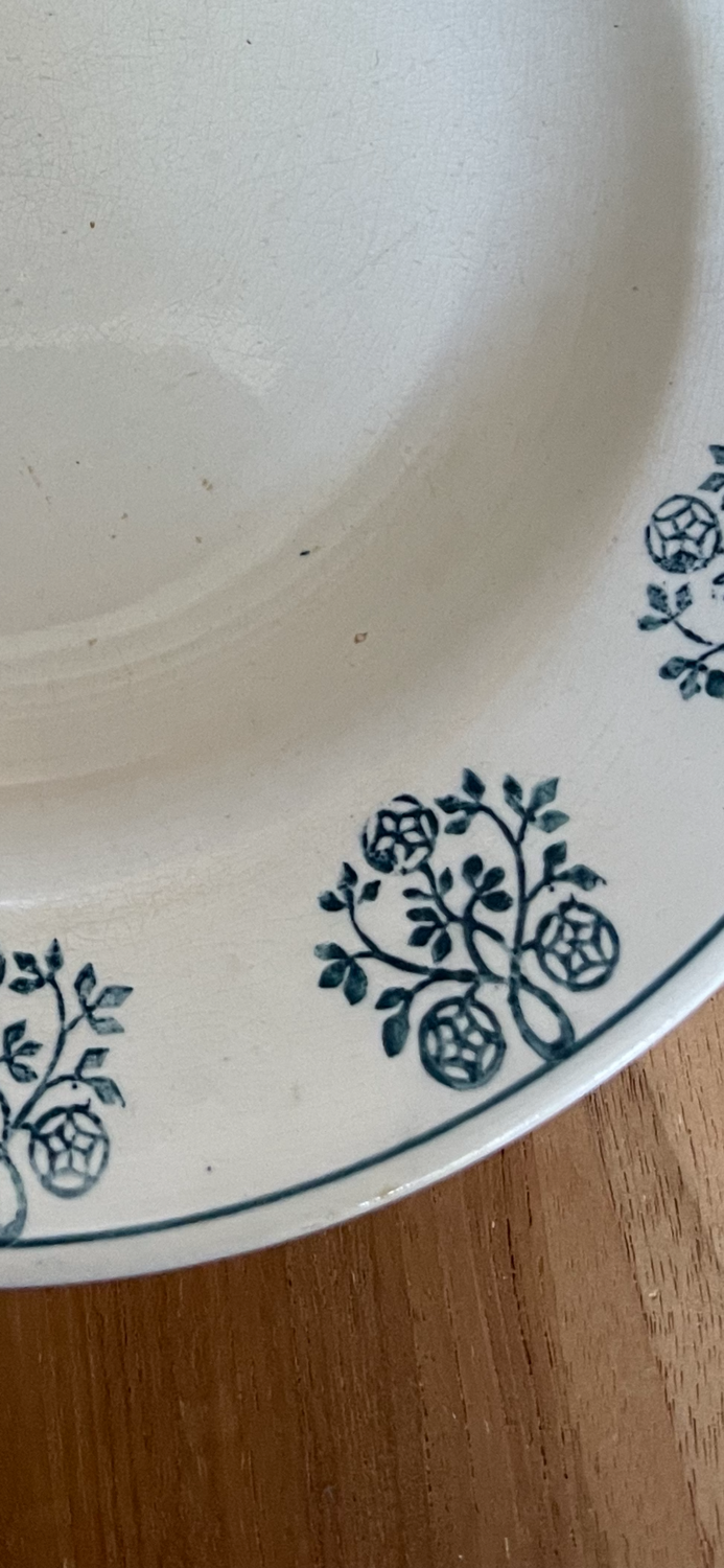 Round dish digoin Sarguemines