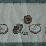 Japanese painting, Svampar, Mixed technique on Artistic Fabric, Denmark