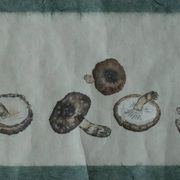 Japanese painting, Svampar, Mixed technique on artistic fabric, Denmark