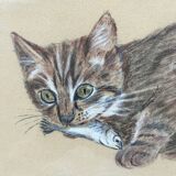 Charcoal tabby cat painting