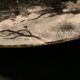 Important earthenware dish Creil Montereau forest Fontainebleau signed Gauthier 1886