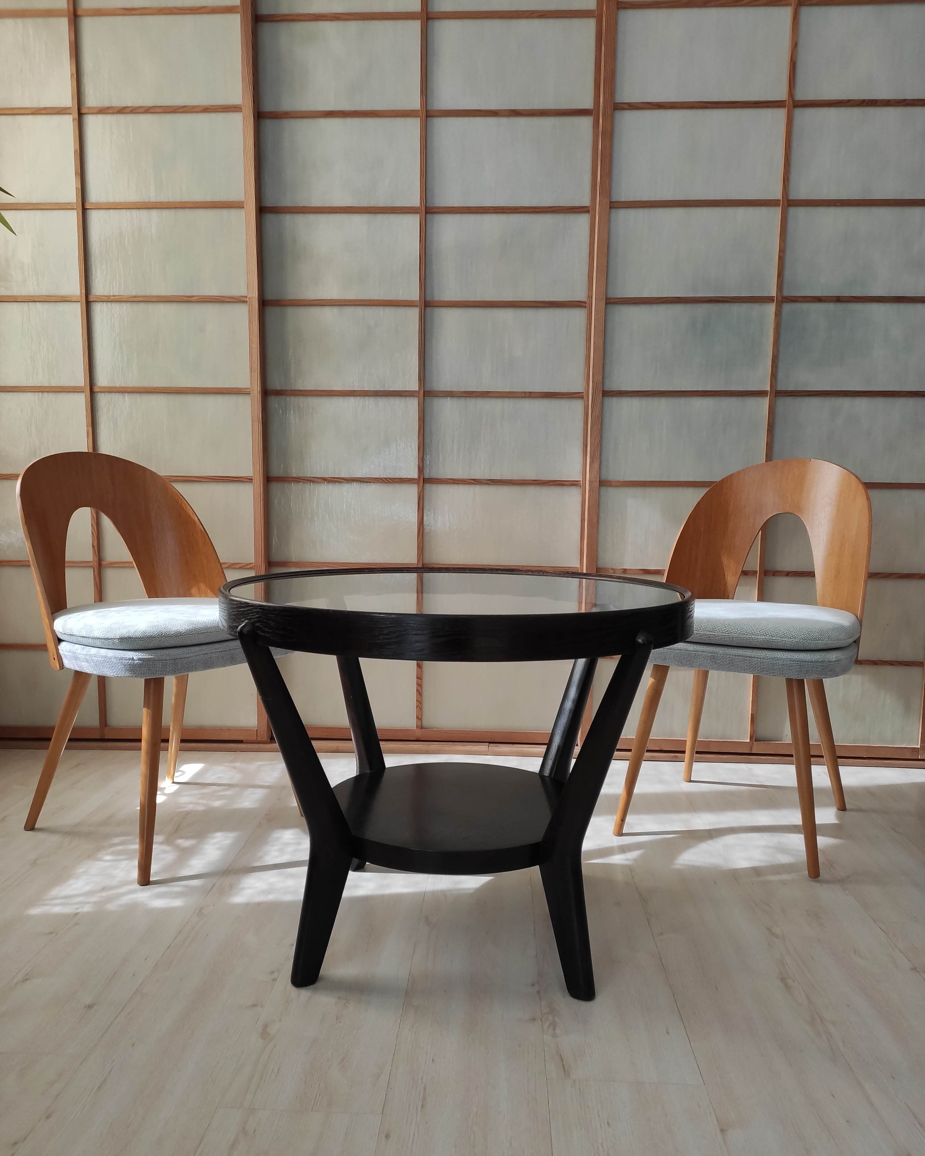 Series of 2 chairs Antonin Suman 60s
