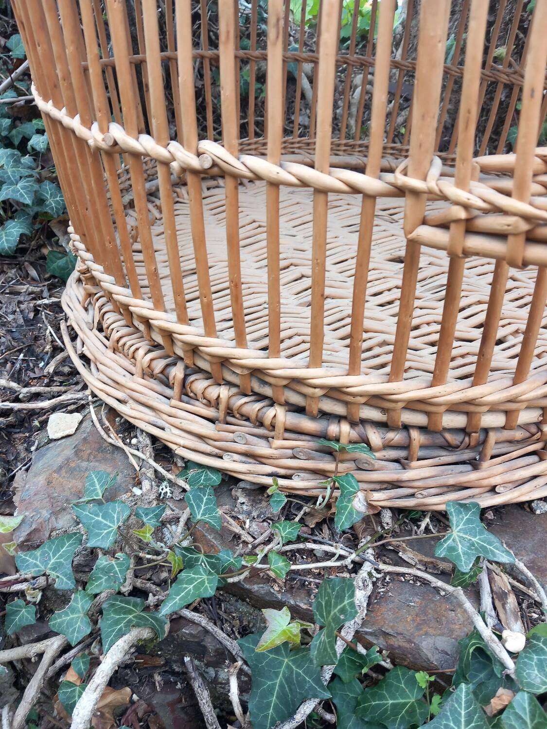 Antique rattan parrot cage 85 cm high