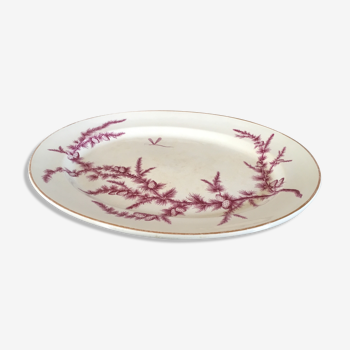 Plat en porcelaine anglaise