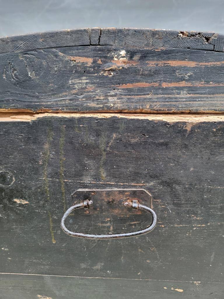 Pine trunk with blackened wood patina
