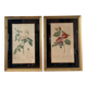 Pair of vintage botanical frames in gilded wood
