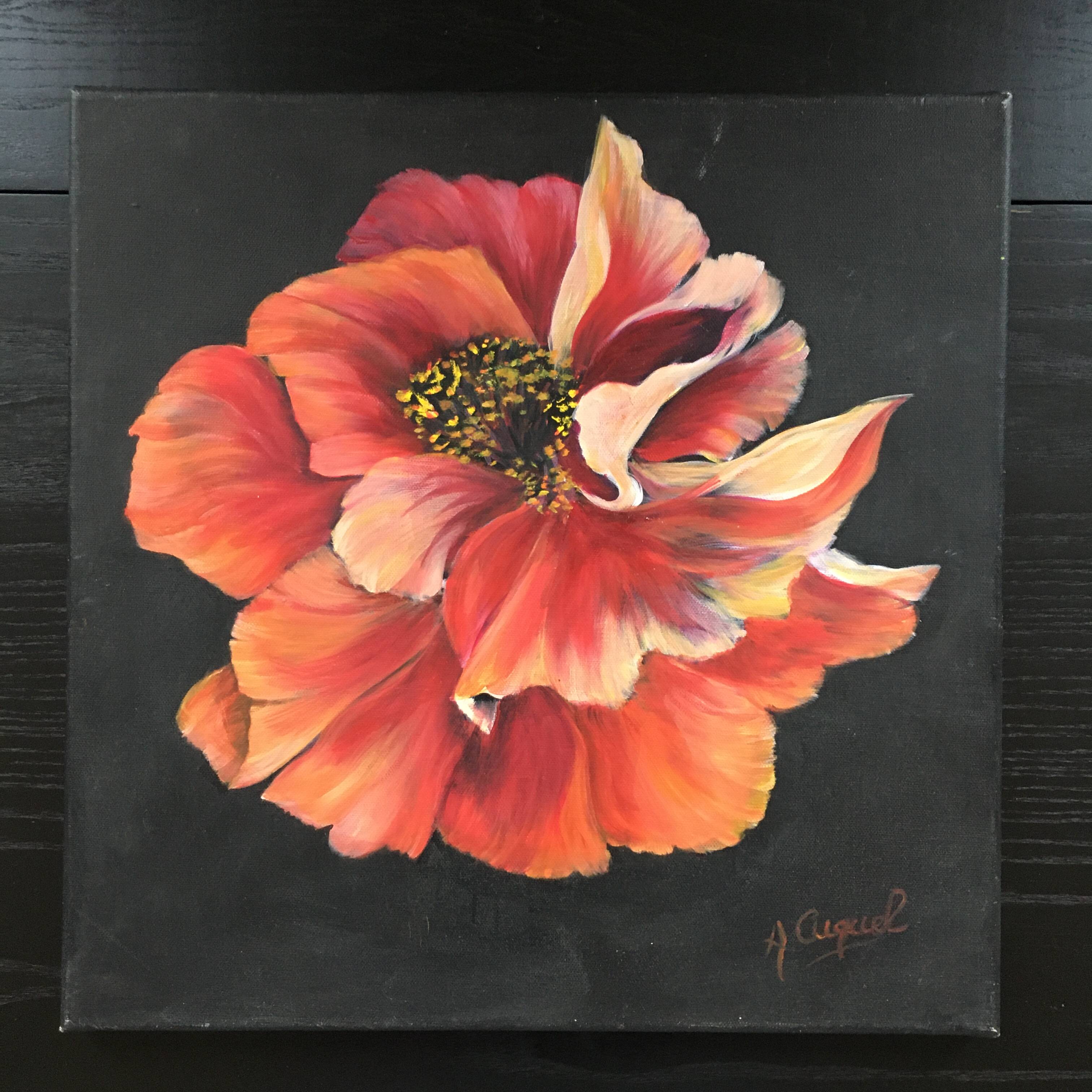 Pink peony painting on black background