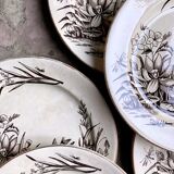 Set of 6 Tunstall flat plates in English Ironstone Amazon pattern circa 1880