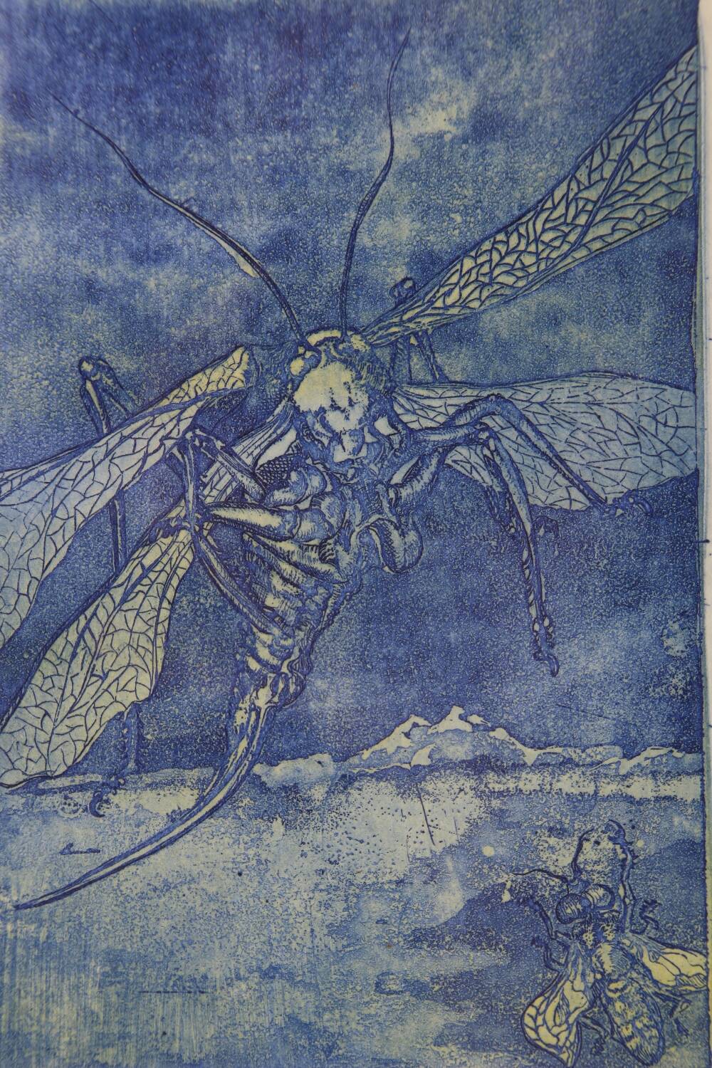 Raphael Augustinus Kleweta print on paper