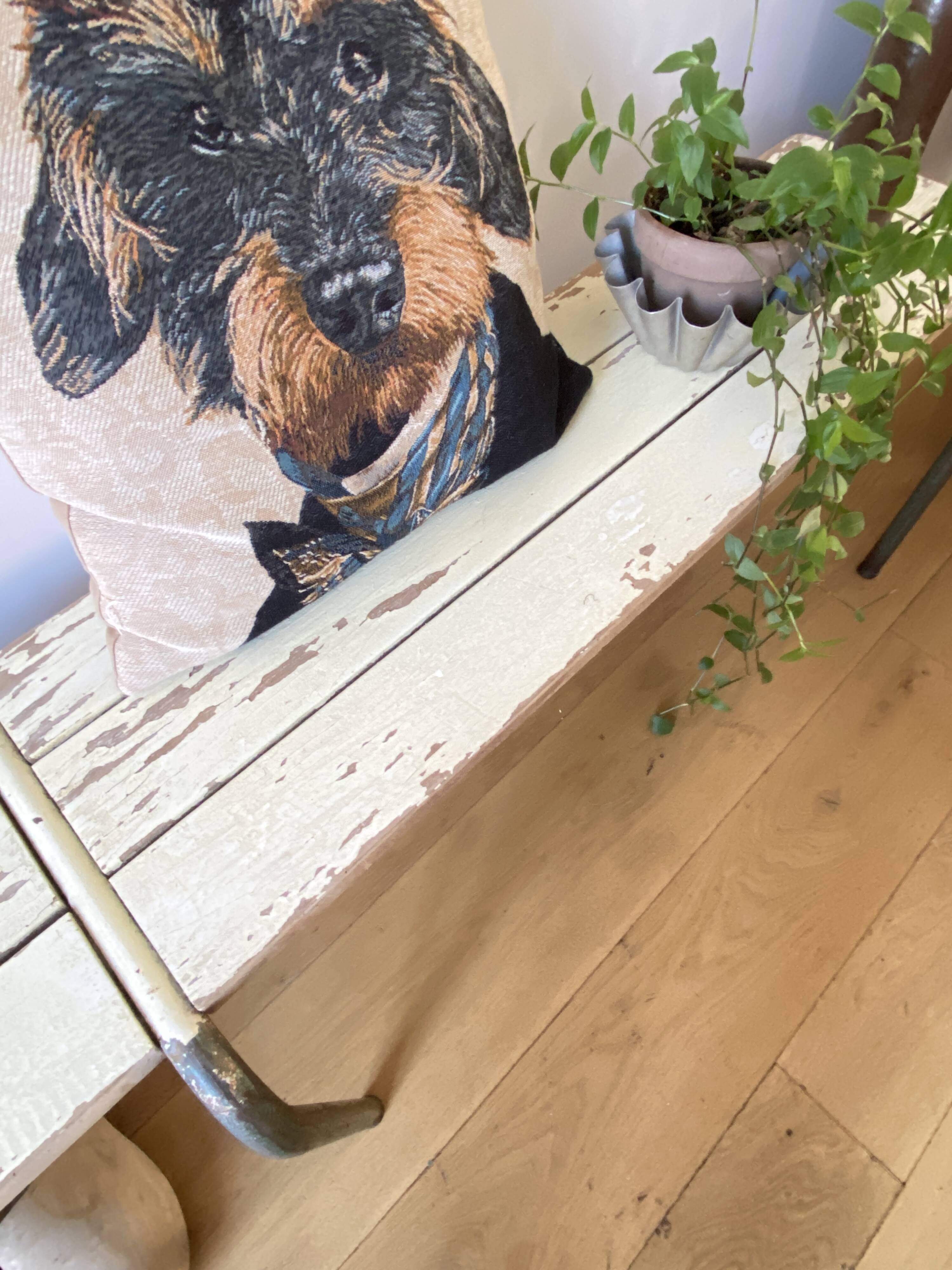 weathered school bench