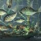 Congolese School Aquatic fauna Oil on canvas signed