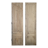 Pair of doors, 19th century