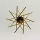 Holywood Regency Brass Chandelier