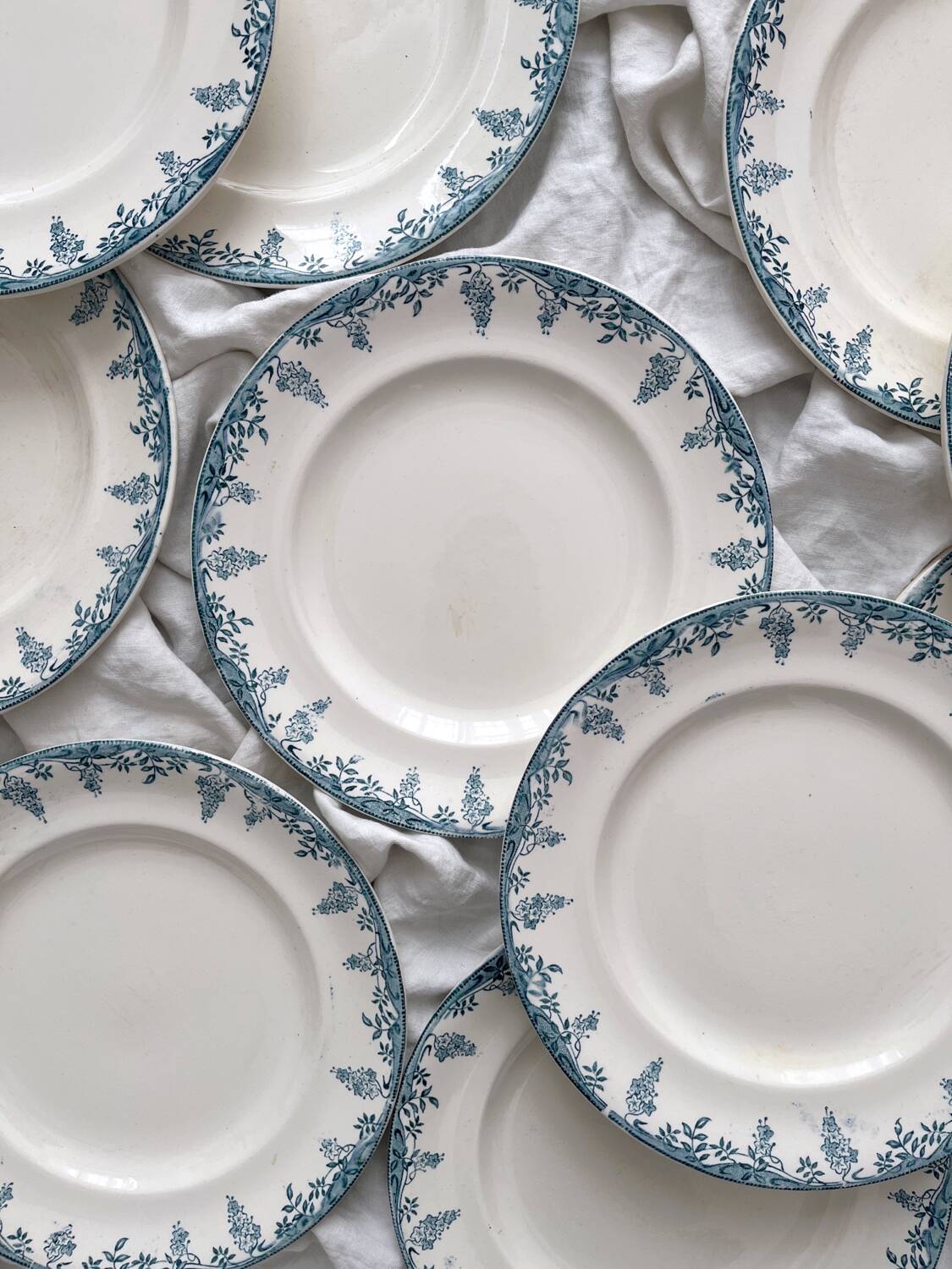 12 ironstone dinner plates “Florence” Longwy
