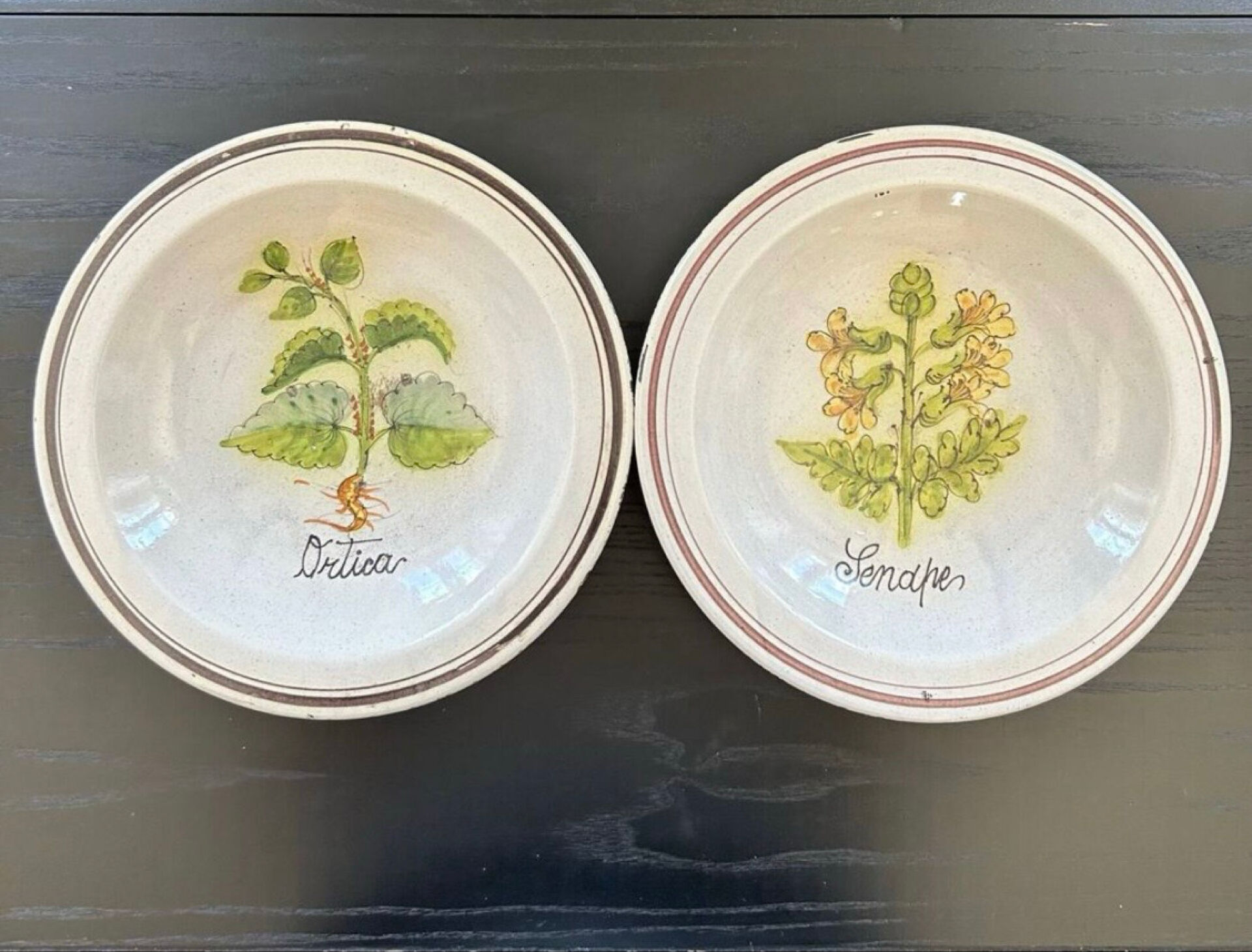 Collection de 2 plats botaniques made in Italy