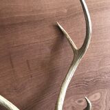Massacre  woods deer vintage 6 trophy hunting horns