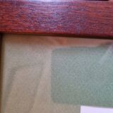 Oleander botanical board