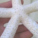 Authentic starfish