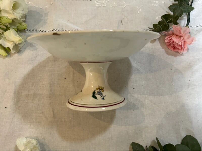 Cut on foot Strasbourg