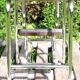 Stool with 3 steps brown